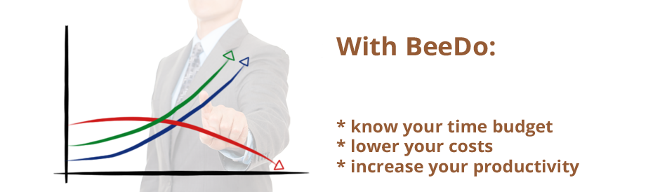 BeeDo projects, pipeline, teamwork software